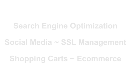 Search Engine Optimization Social Media ~ SSL Management Shopping Carts ~ Ecommerce For PC, Tablet & Cell